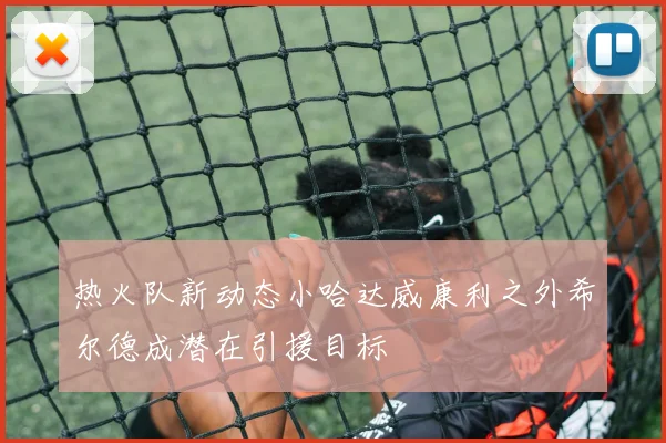 热火队新动态小哈达威康利之外希尔德成潜在引援目标