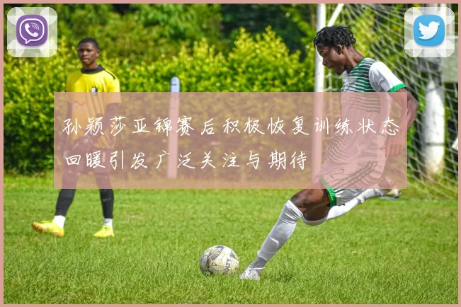 孙颖莎亚锦赛后积极恢复训练状态回暖引发广泛关注与期待